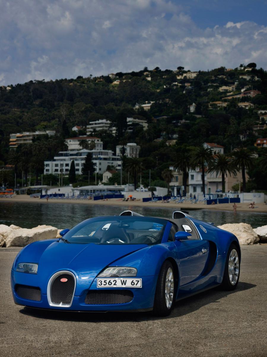  Bugatti Veyron 16.4 Grand Sport Cannes 2009 года  (фото 4 из 6)